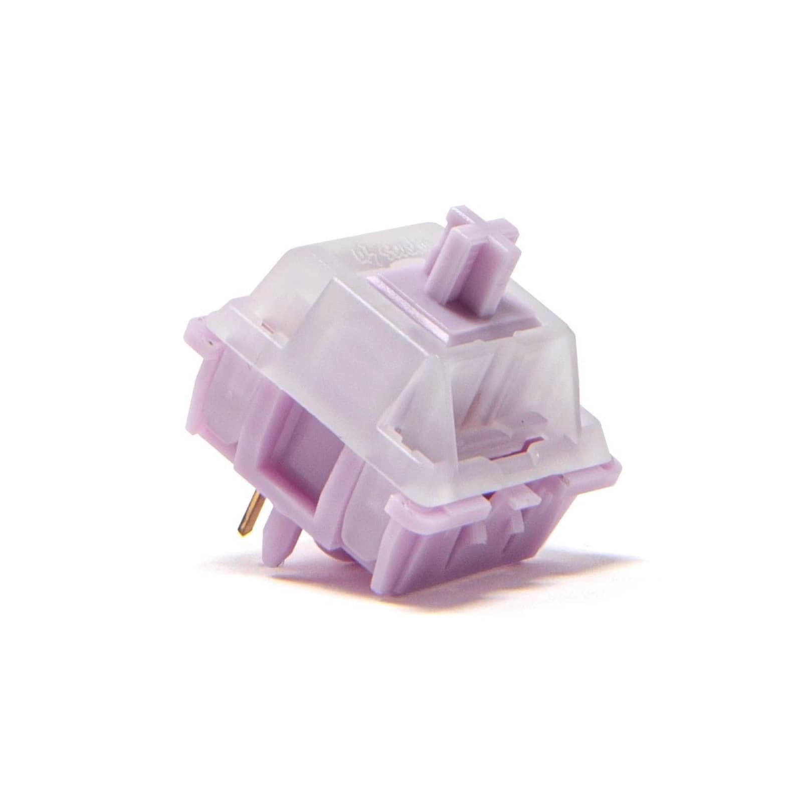 43 Studio Popu