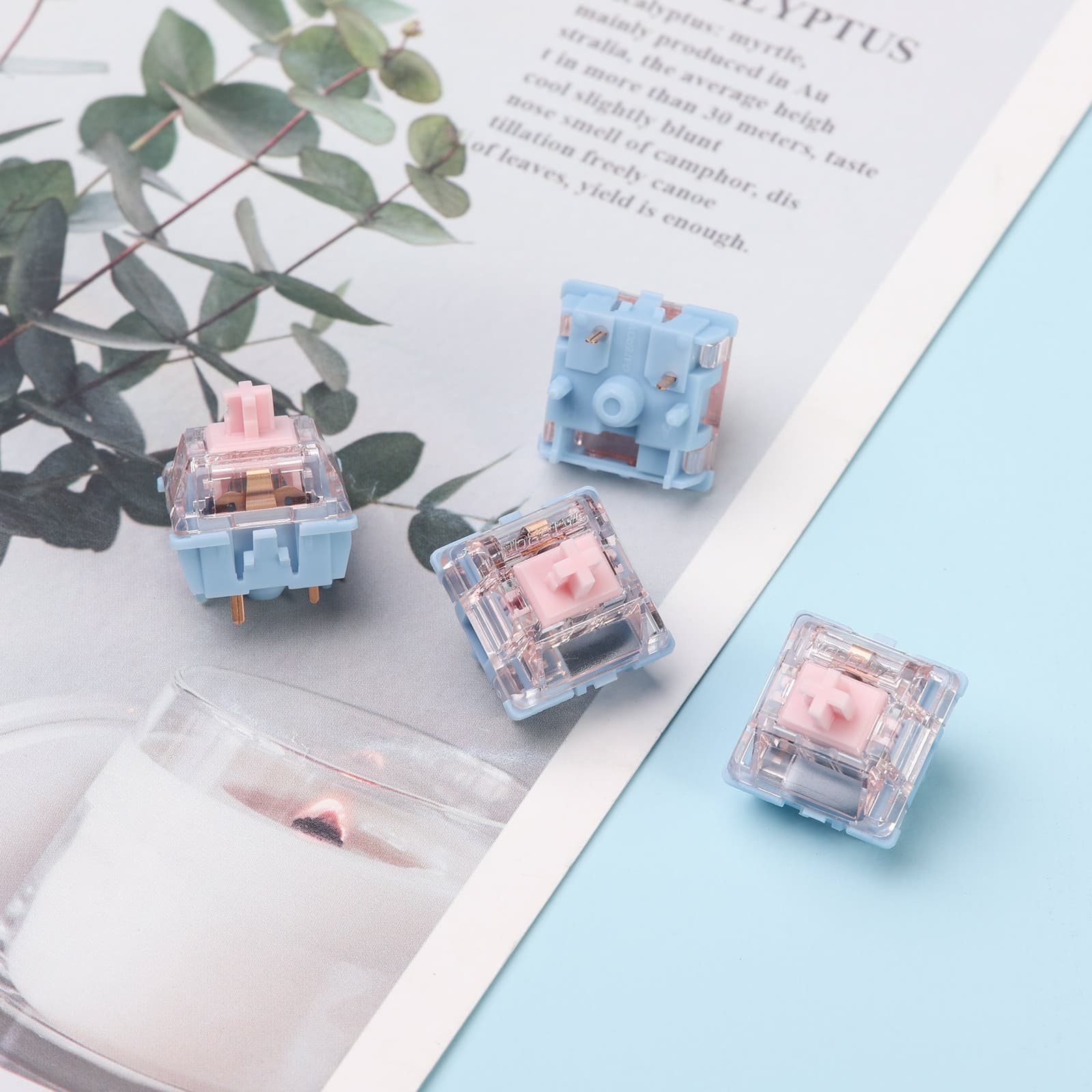 Gateron Melodic