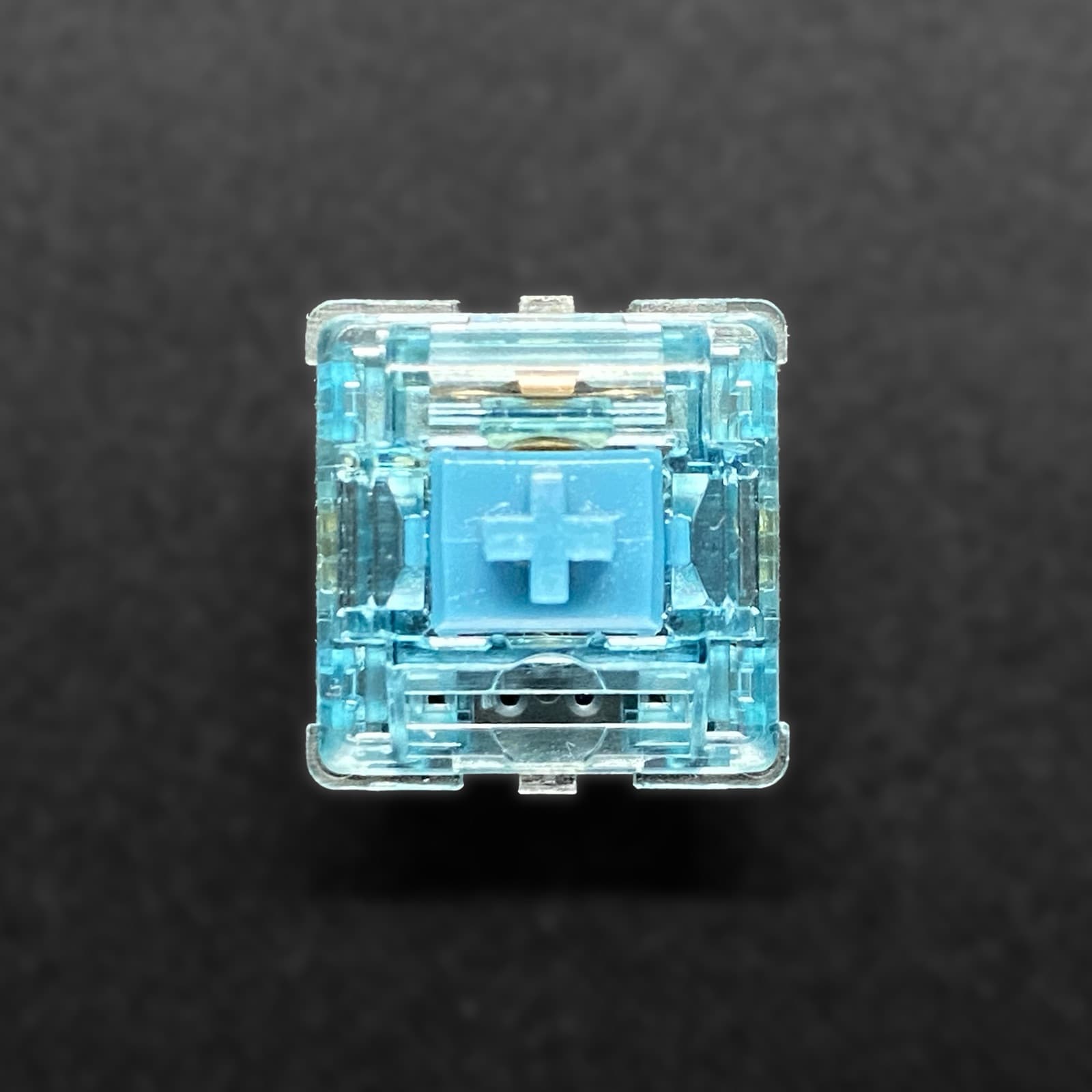 JWK Bluey Linear