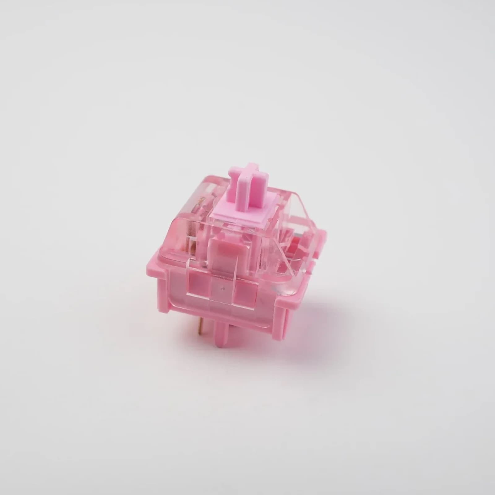KTT Rose