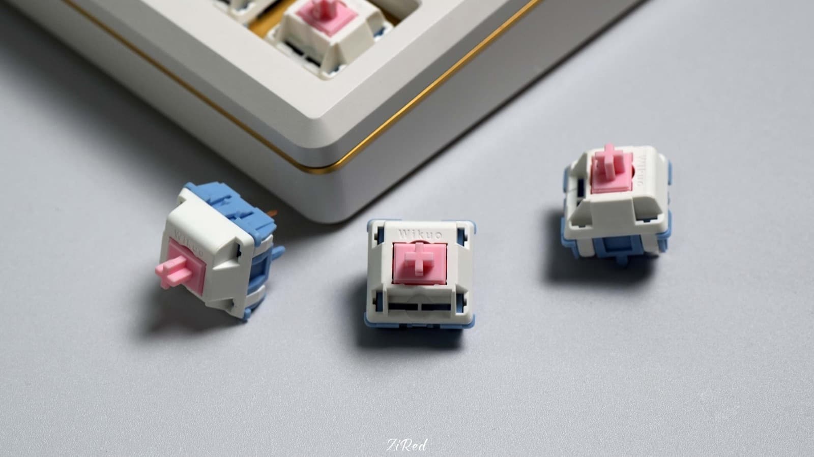 Moyu Studio Fuyu