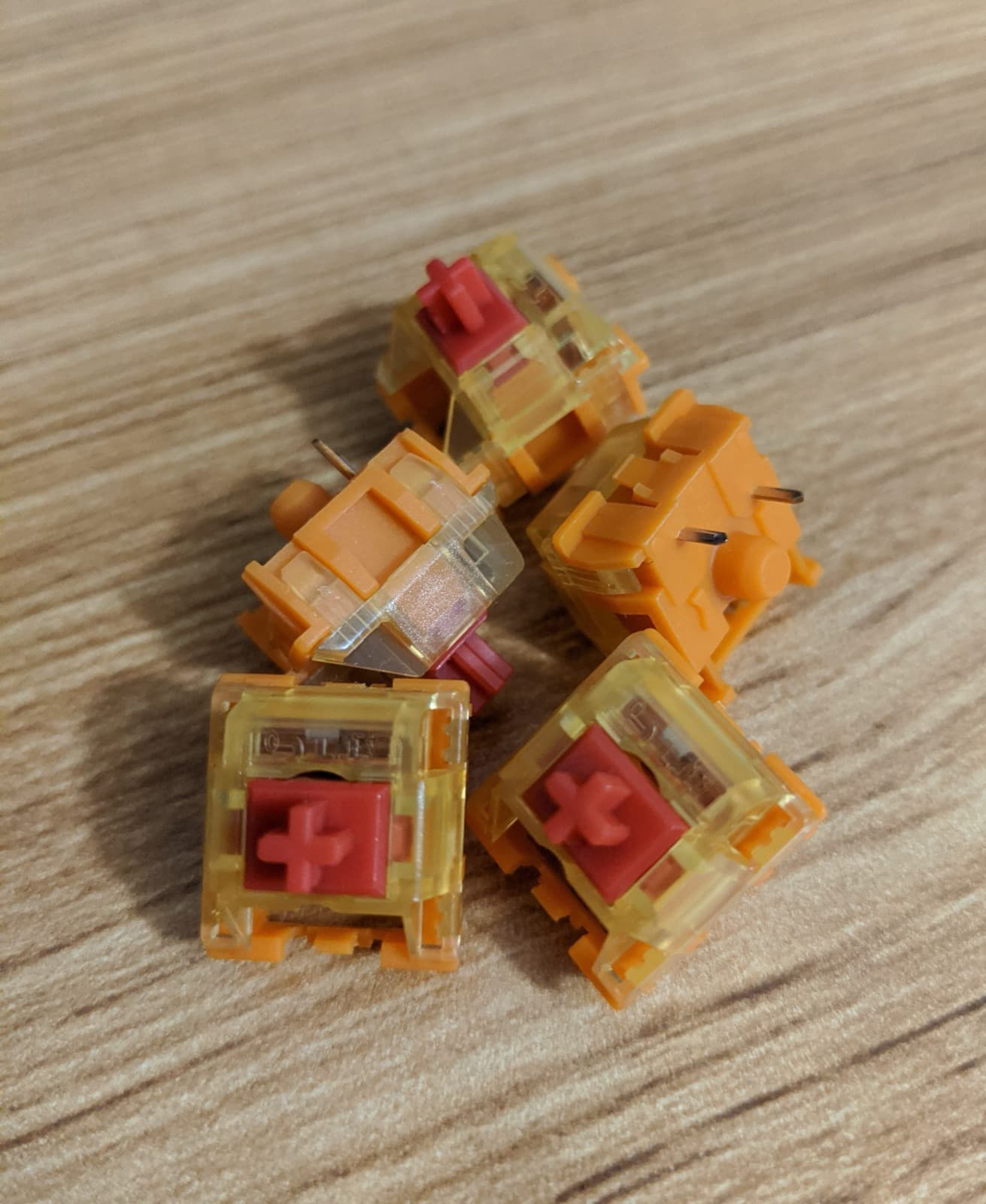TTC Gold V2 Red