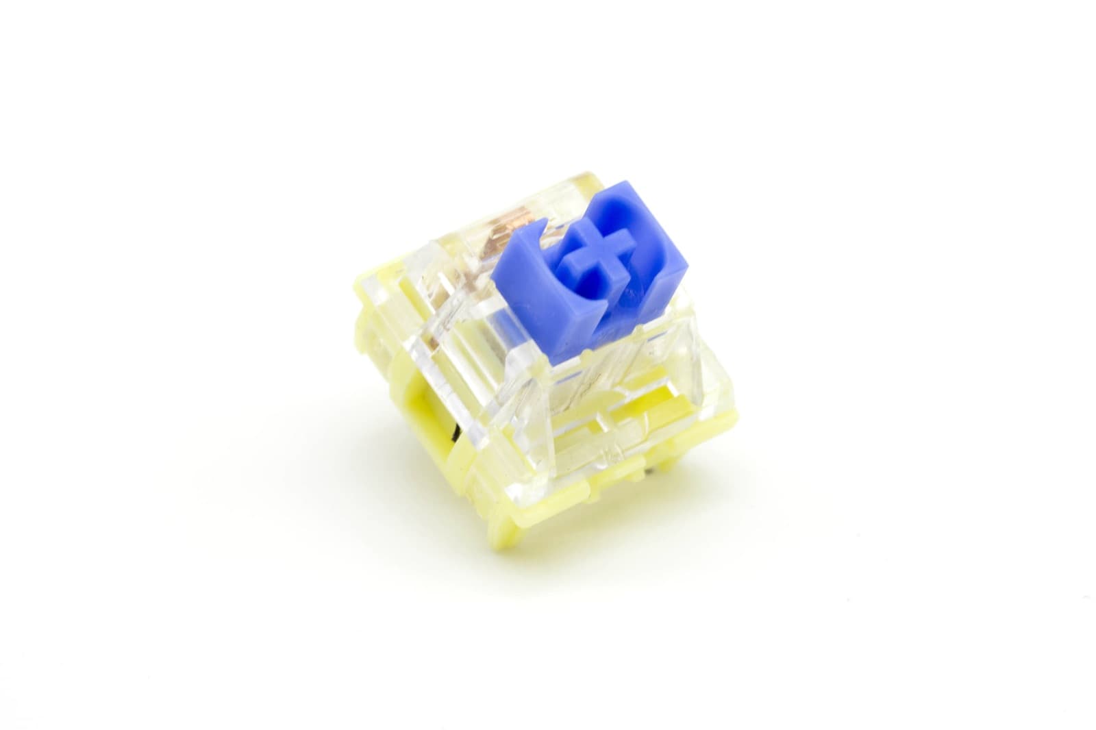 TTC Golden Blue