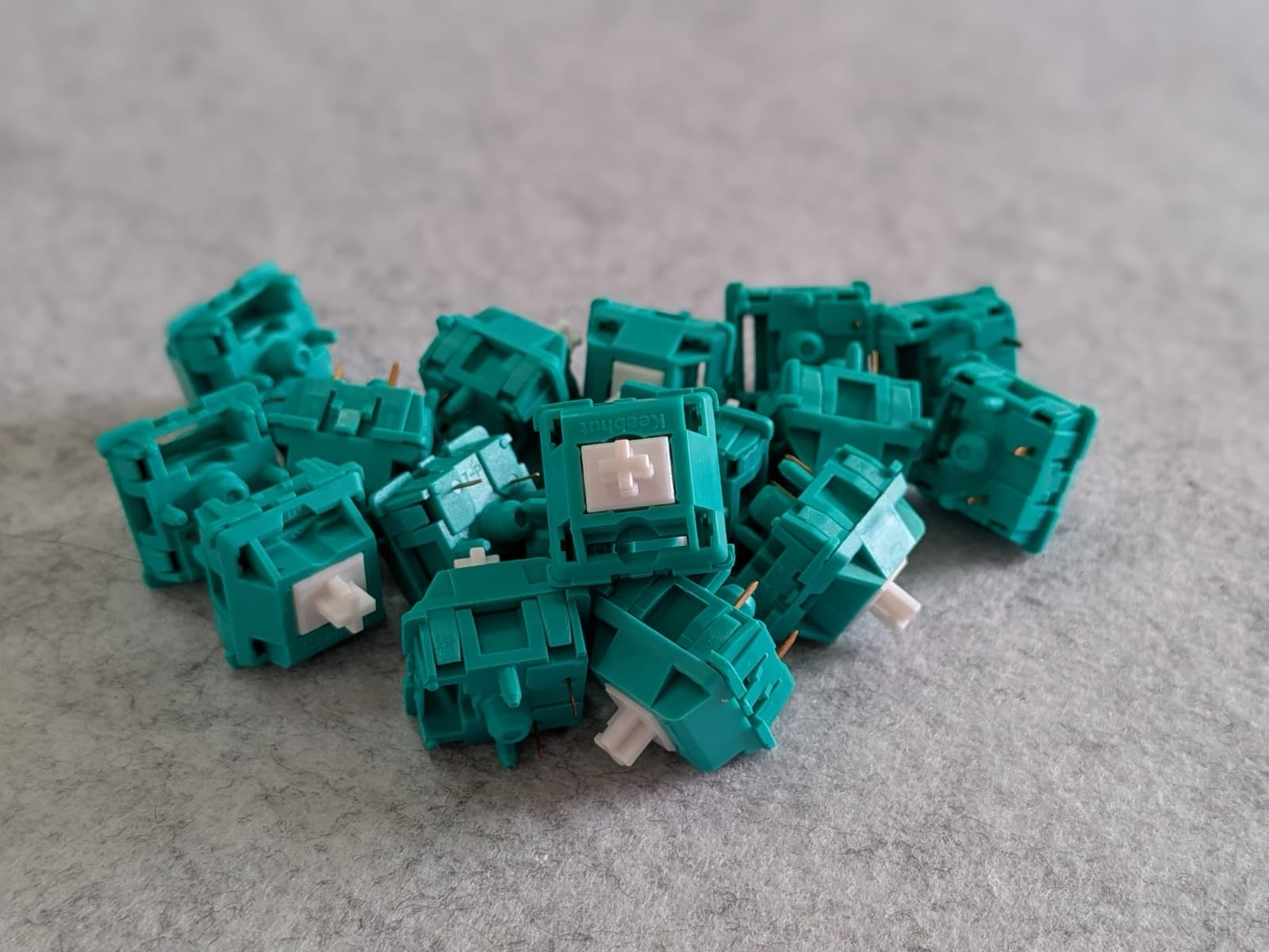 BSUN Tropical Waters V3