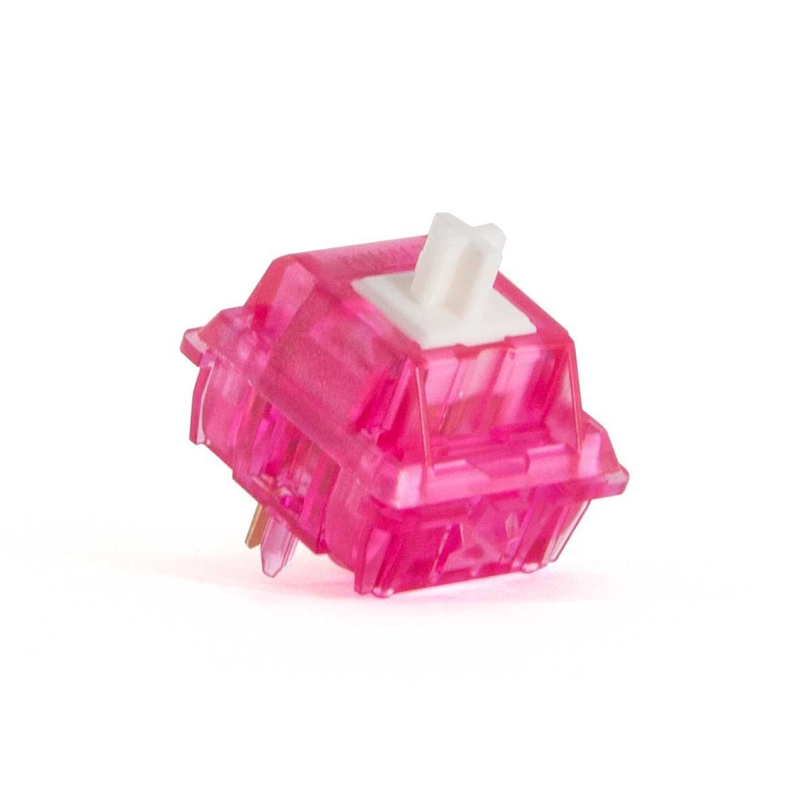 C³Equalz x TKC Dragon Fruit
