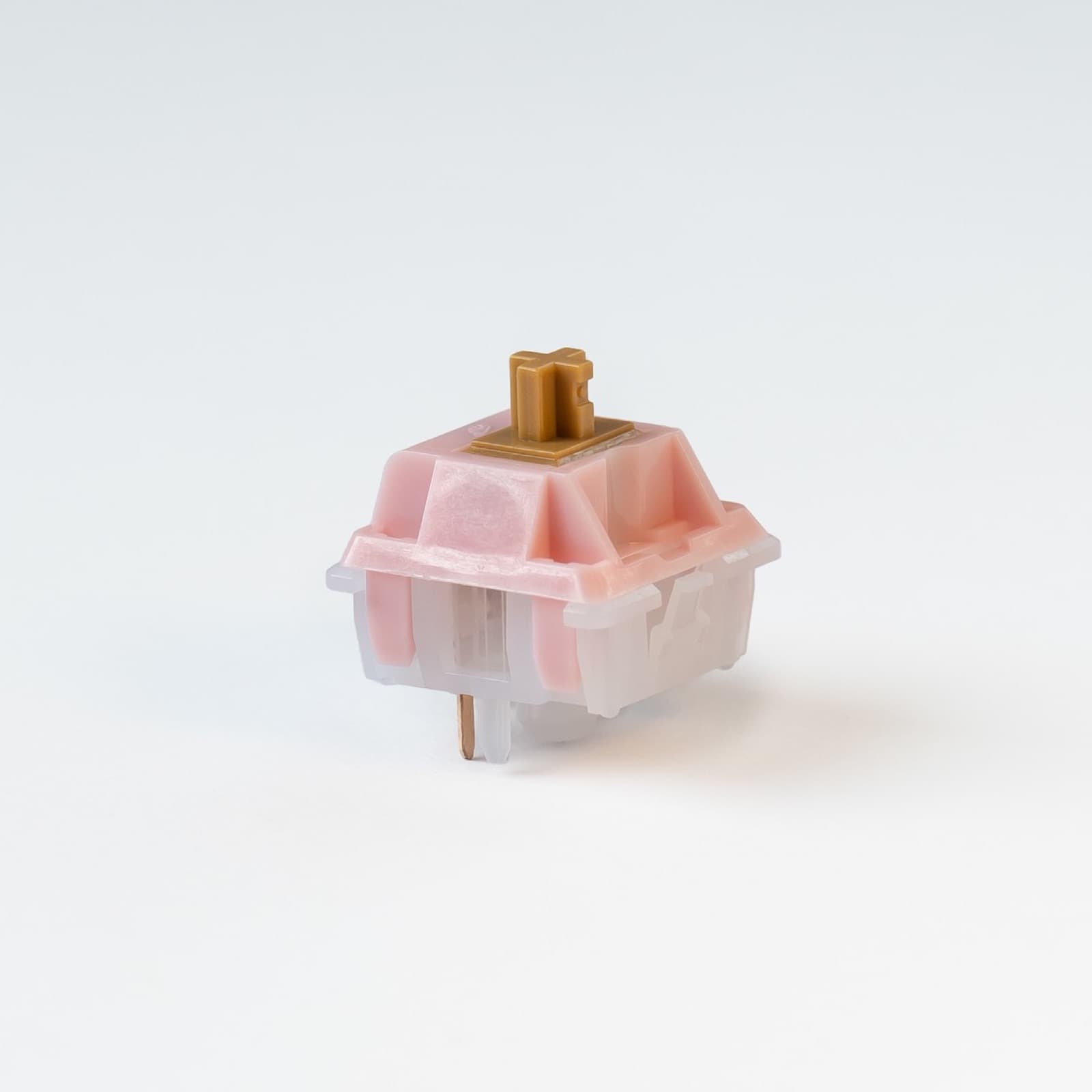 CannonKeys Neapolitan Ice Cream