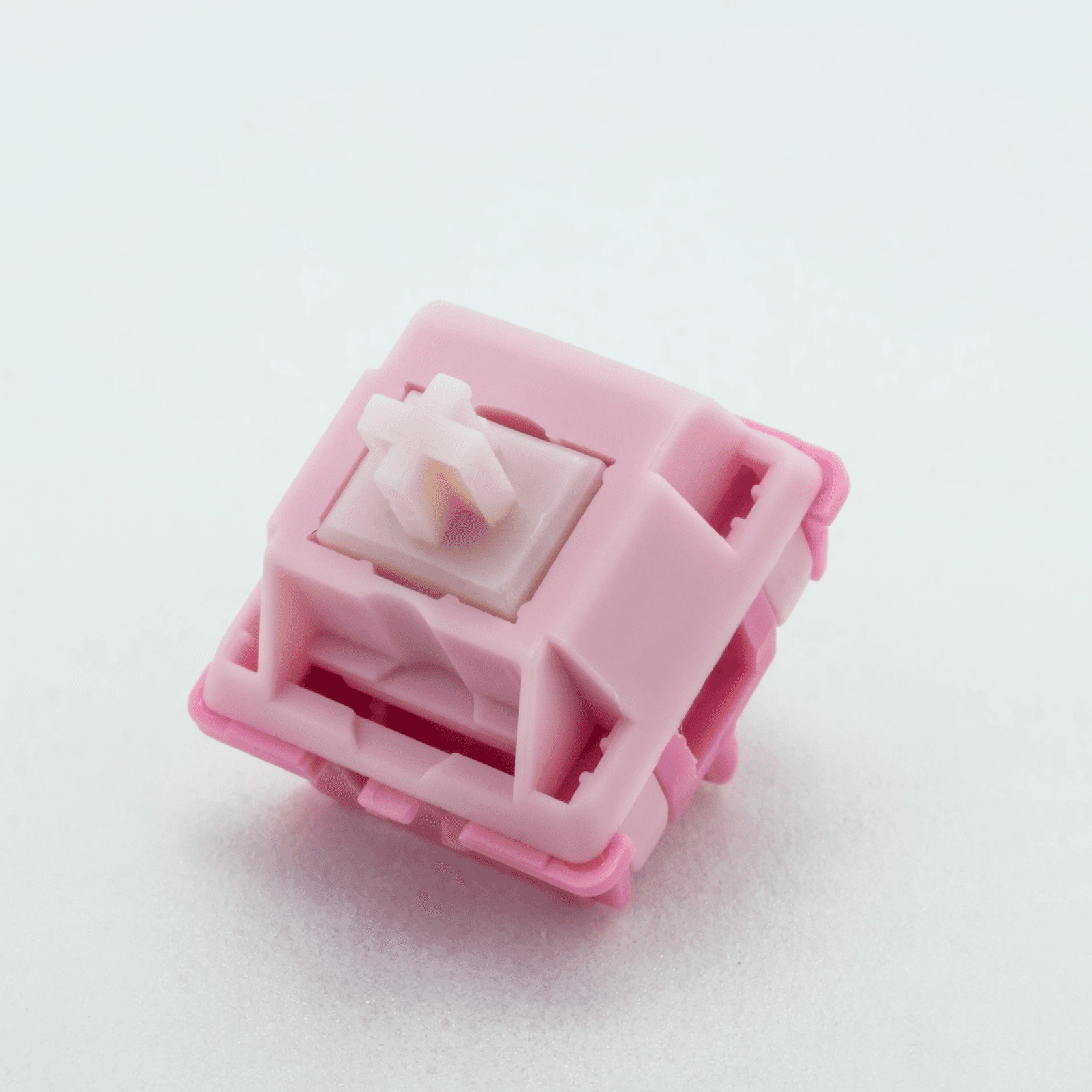 DesignerStudio Peach Bloom