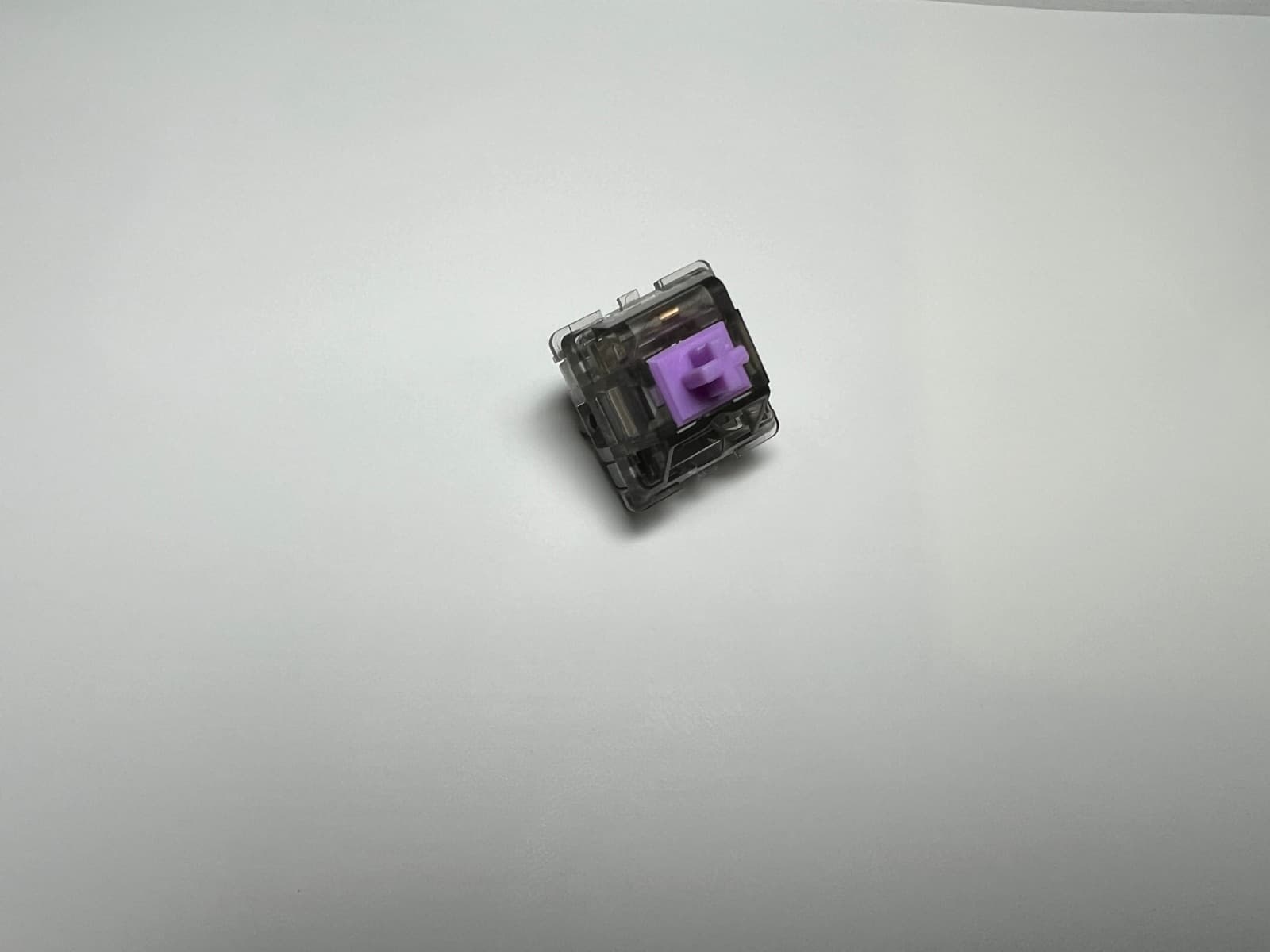 Durock L4 Creamy Purple