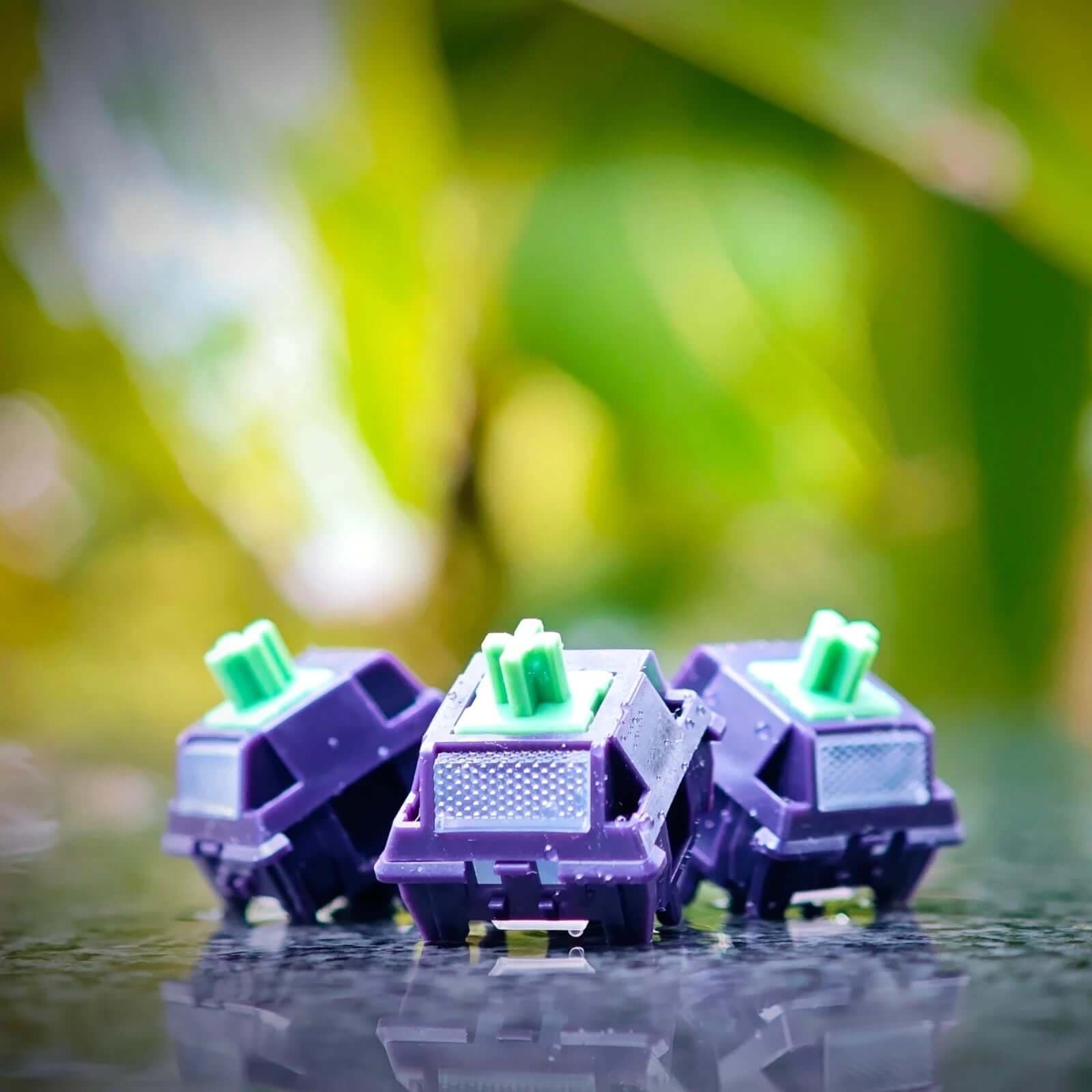Haimu Mulberry Tactile