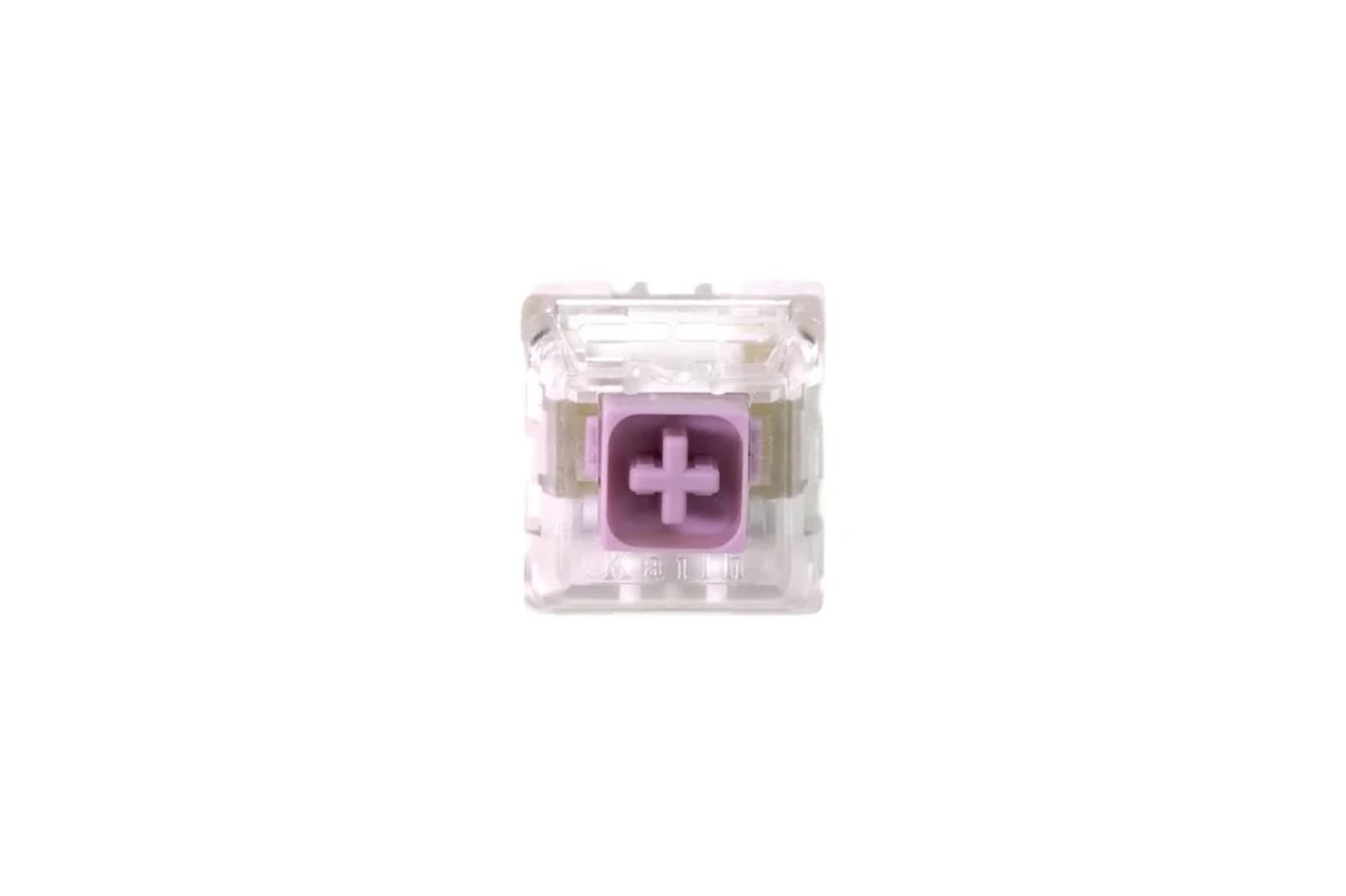 Input Club Hako Violet
