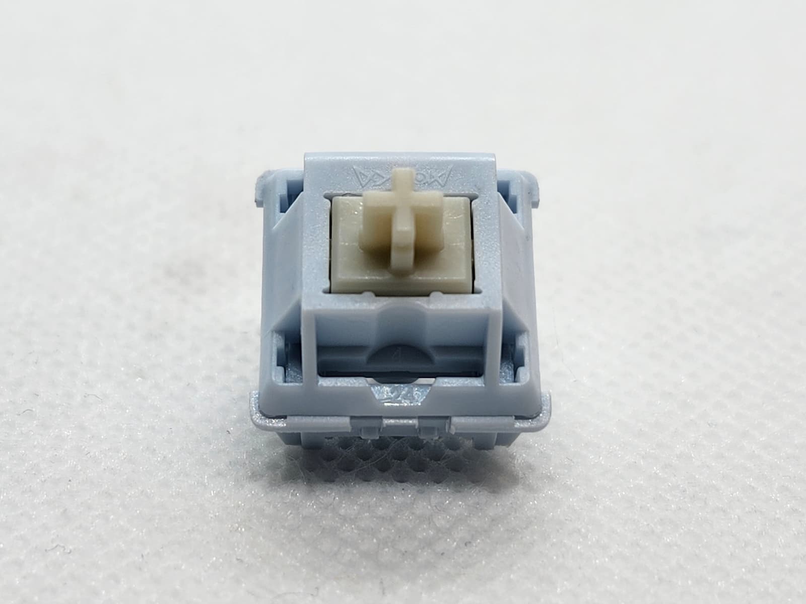 Monka Monka Star Blue Linear