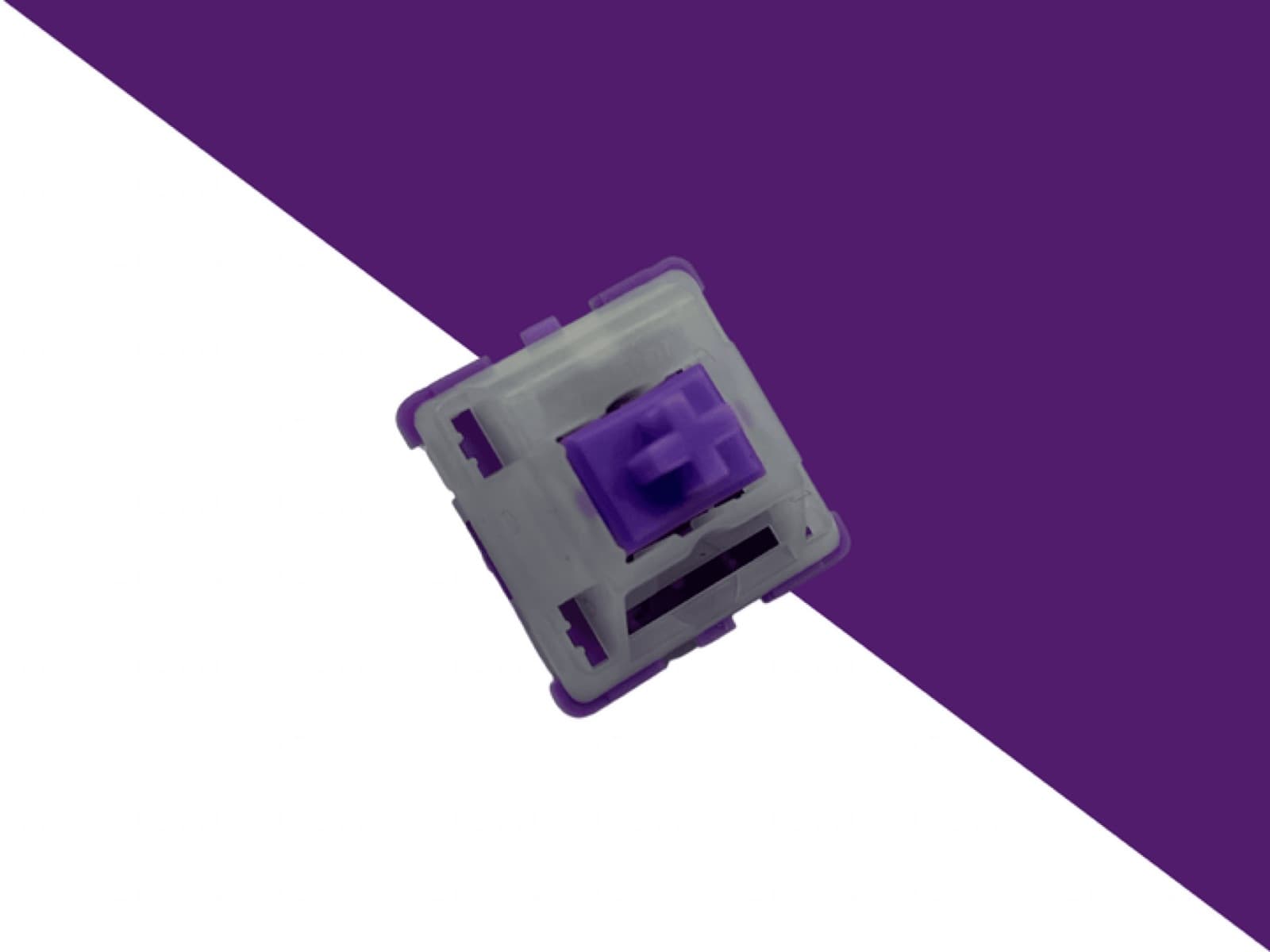 SP-Star Ube Crinkle Cookies Linear