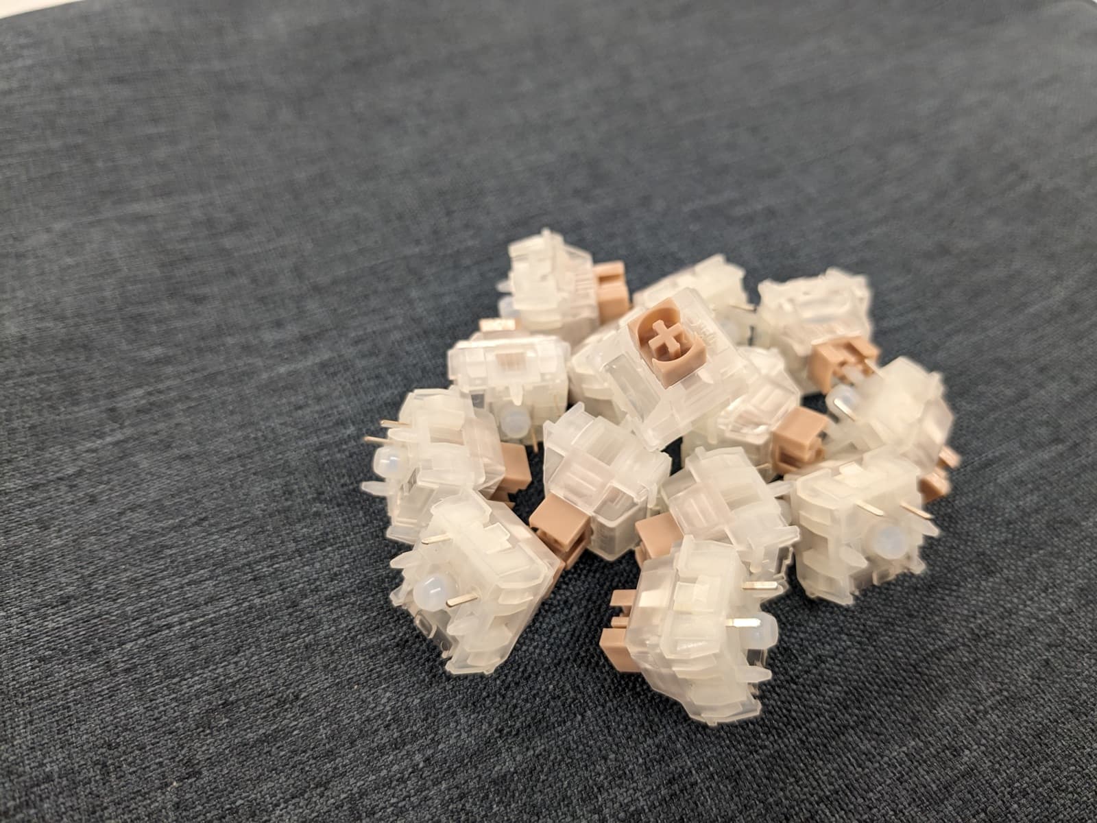 SW x TTC Peanut Latte Silent Tactile