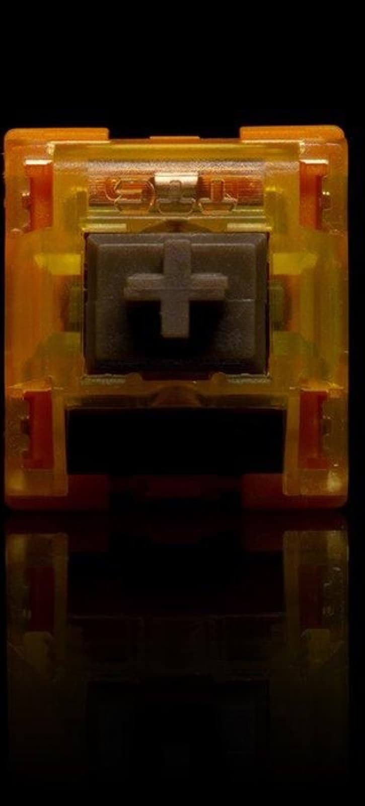 TTC Gold V2 Brown